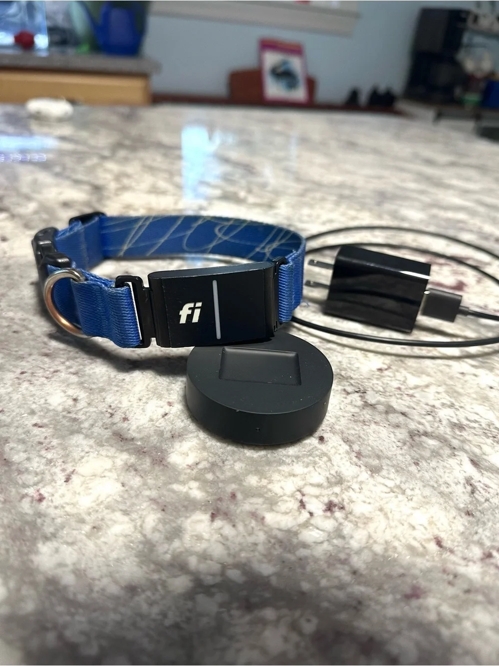 Medium Fi Smart Dog Collar with GPS Tracker Series 3+ with Charger